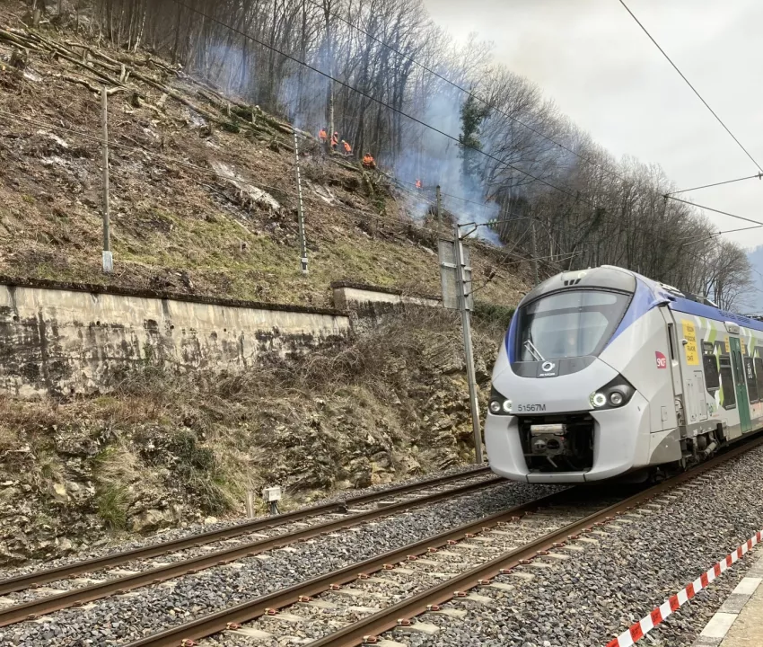 maitrise de la végétation