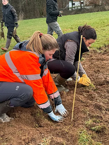 Plantation et rebouchage