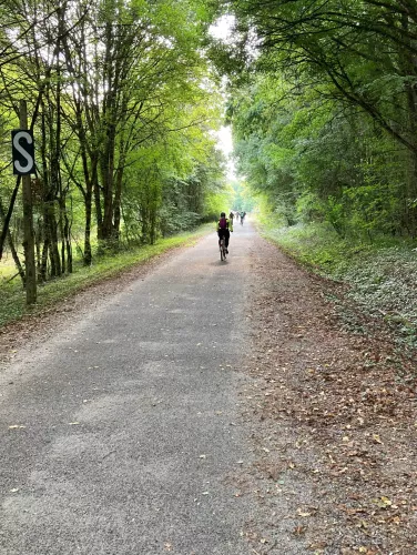Cycliste sur une voie verte