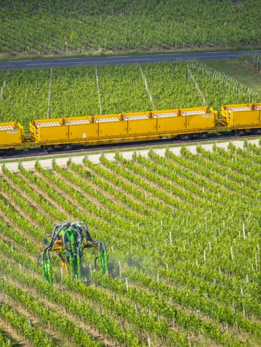Train coupe Saint Emilion