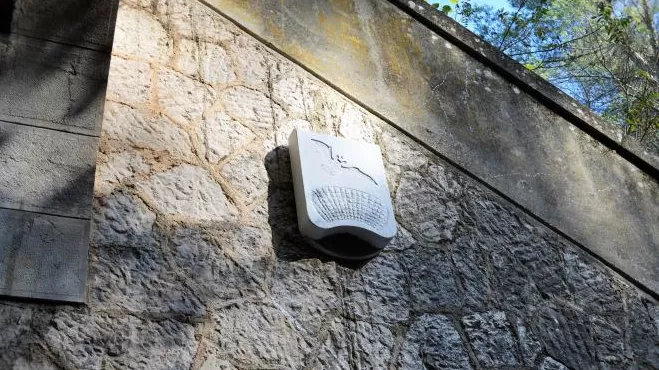 Nichoir à chiroptères (chauves-souris) installé sous la voute d'un ouvrage ferroviaire.