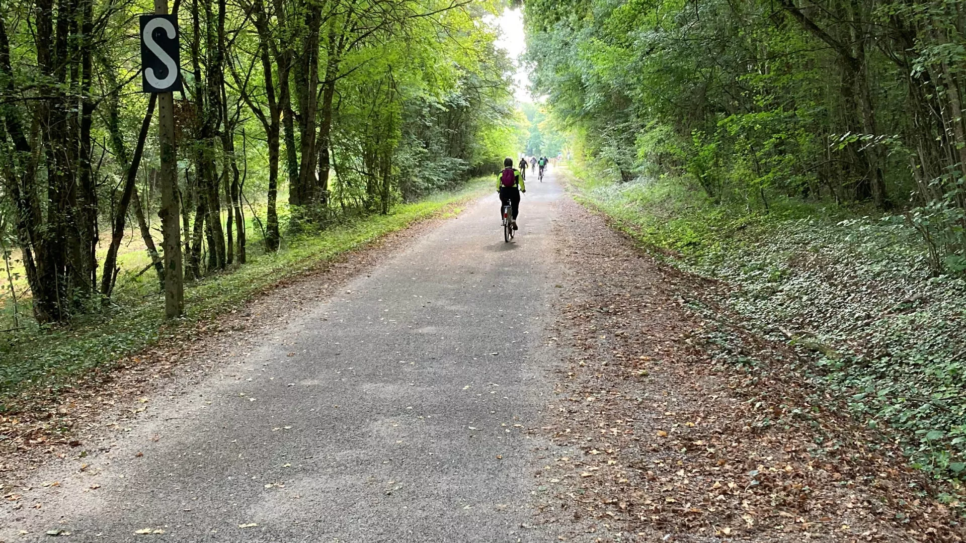 Cycliste sur une voie verte