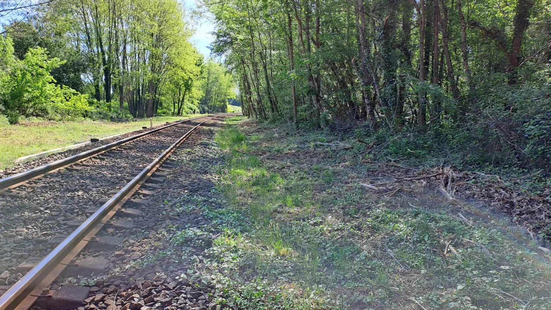 Ligne Morcenx – Mont-de-Marsan